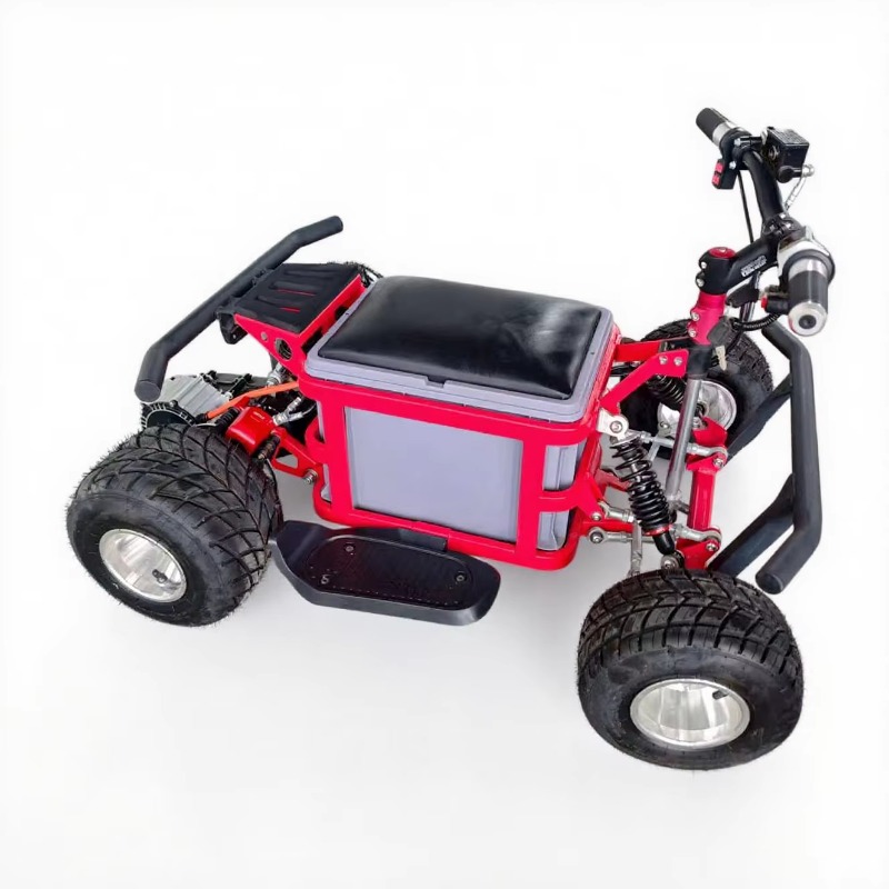 クレイジーカートドリフト電動大人用48v子供用電動乗用玩具車 - Kids Outdoor Karting のレビューと価格