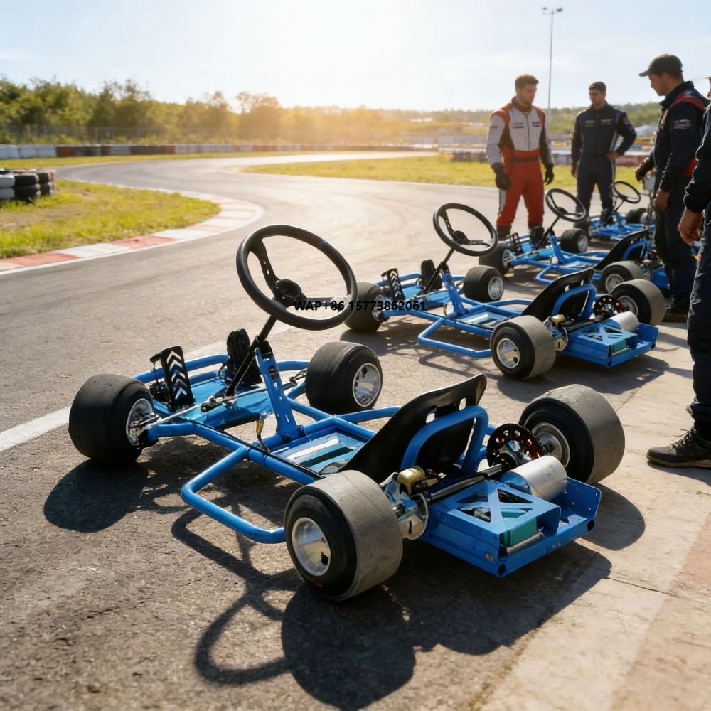 電動カート、高速電動ゴーカート、72V 3000W、大人も子 - Kids Outdoor Karting のレビューと価格